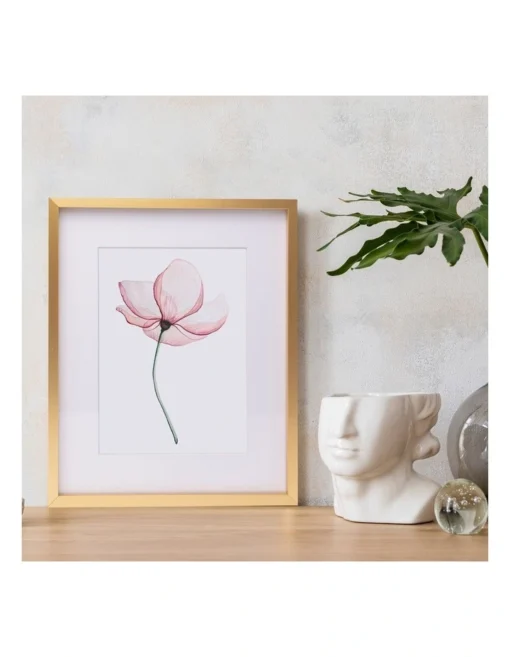 Premium Metallicus Metal Photo Frames 8x10 Matt To 5x7 Set Of 2 In Gold -Home Décor Sales