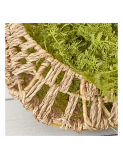 Set Of 2 Hart Wall Plant Holder In Natural -Home Décor Sales 954989830 5 720x928