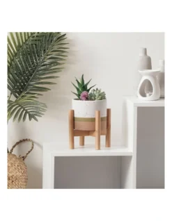 Parker Artificial Garden Terracotta Pot In White/Natural -Home Décor Sales 954991360 4 720x928