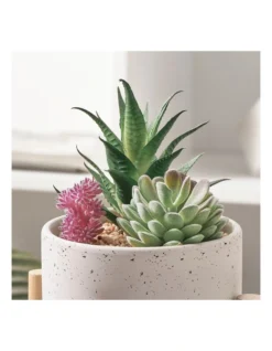 Parker Artificial Garden Terracotta Pot In White/Natural -Home Décor Sales 954991360 6 720x928
