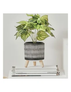 Nested White Stripe Terracotta Pots Set Of 3 -Home Décor Sales 954991540 4 720x928