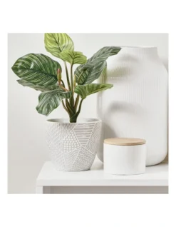 Nested Vine Terracotta Pots Set Of 3 In Multi -Home Décor Sales 954992620 4 720x928