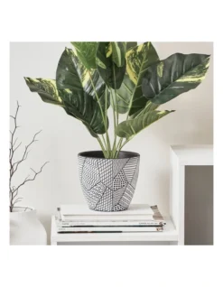 Nested Vine Terracotta Pots Set Of 3 In Multi -Home Décor Sales 954992620 6 720x928