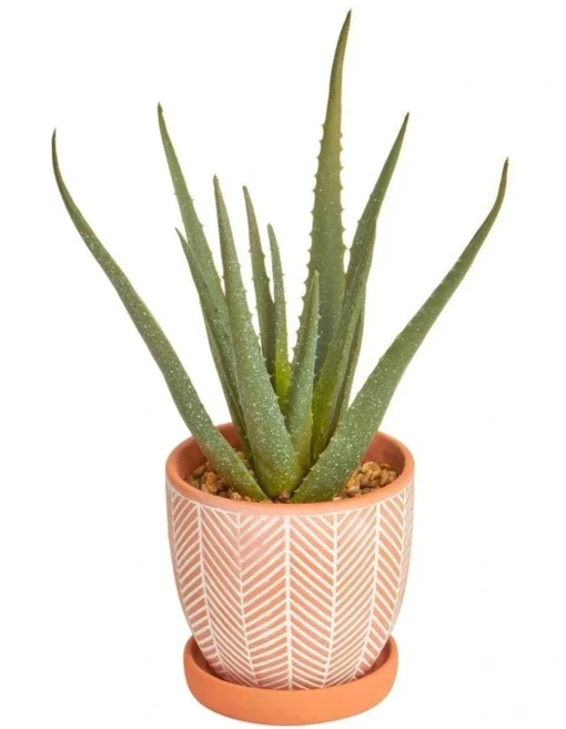 Artificial Aloe Vera Plant In Ceramic Pot 40cm In Terracota -Home Décor Sales