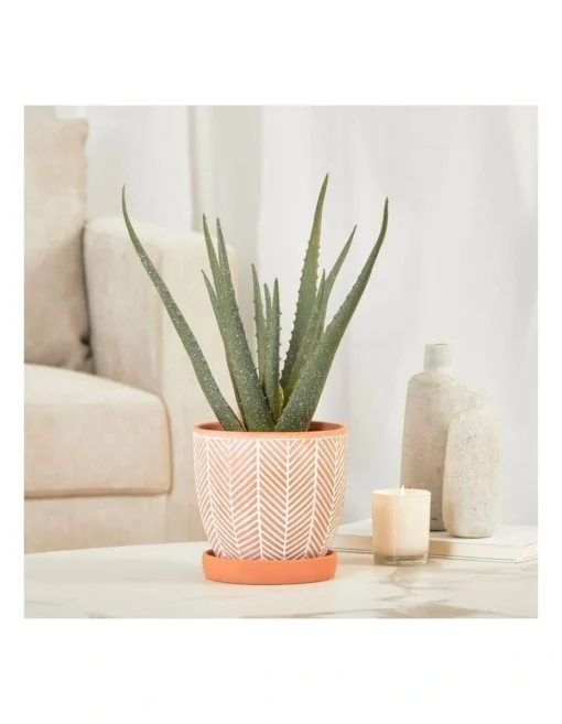 Artificial Aloe Vera Plant In Ceramic Pot 40cm In Terracota -Home Décor Sales