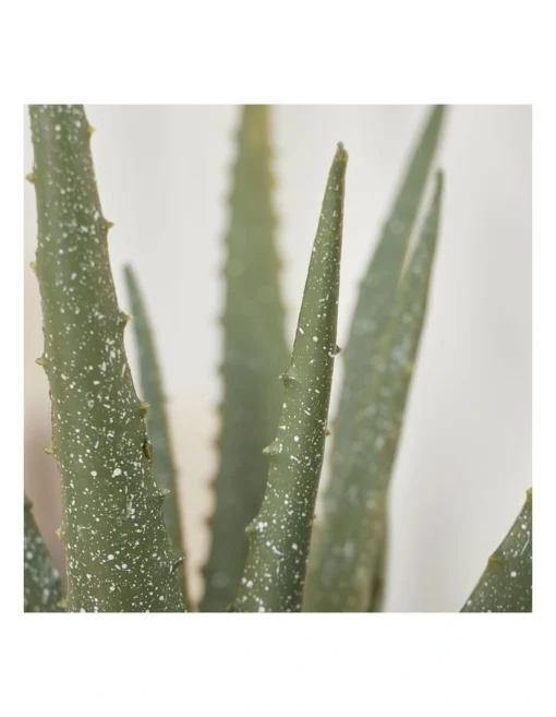Artificial Aloe Vera Plant In Ceramic Pot 40cm In Terracota -Home Décor Sales