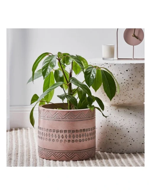 Idaho Terracotta Planter Pots Set Of 2 In Pink -Home Décor Sales