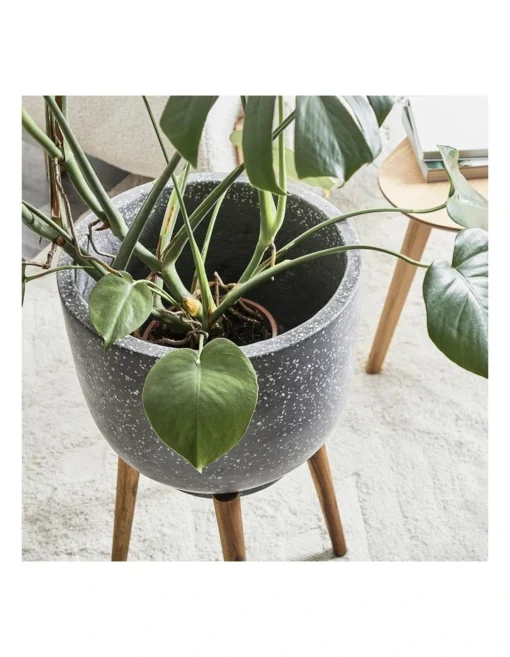Terrazzo Pot On Acacia Wood Stand 58cm In Grey -Home Décor Sales