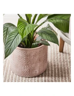 Cross Line Terracotta Planter Pots Set Of 3 In Pink -Home Décor Sales 954999280 4 720x928