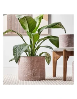 Cross Line Terracotta Planter Pots Set Of 3 In Pink -Home Décor Sales 954999280 5 720x928