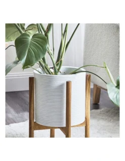 Ceramic Pot On Acacia Wood Stand 41cm In White -Home Décor Sales 954999370 4 720x928