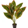 Faux Dieffenbachia With Colour Leaf 65cm In Green -Home Décor Sales 955005400 1 720x928
