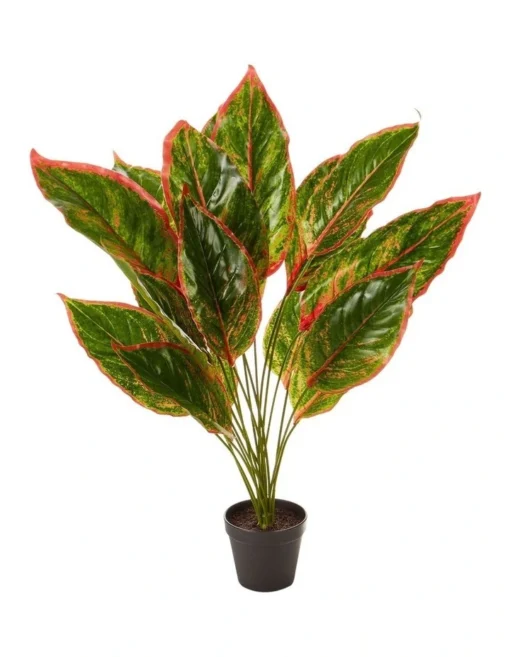 Faux Dieffenbachia With Colour Leaf 65cm In Green -Home Décor Sales
