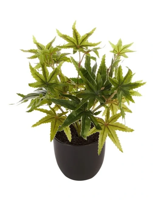 Tall Potted Artificial Maple Decor 24cm In Green -Home Décor Sales