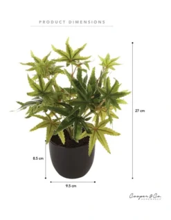 Tall Potted Artificial Maple Decor 24cm In Green -Home Décor Sales 955005940 3 720x928