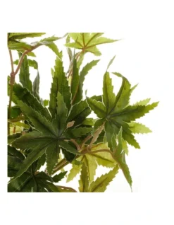 Tall Potted Artificial Maple Decor 24cm In Green -Home Décor Sales 955005940 4 720x928