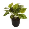 Artificial Watermelon On Leaf Plant 24cm In Green -Home Décor Sales 955006120 1 720x928