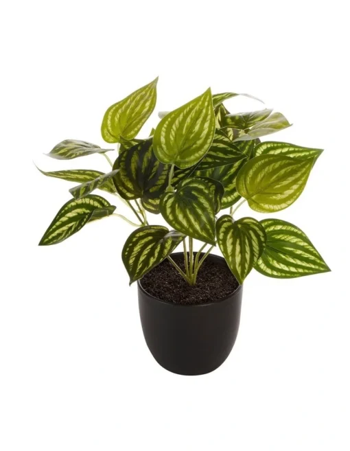Artificial Watermelon On Leaf Plant 24cm In Green -Home Décor Sales