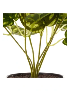 Artificial Watermelon On Leaf Plant 24cm In Green -Home Décor Sales 955006120 6 720x928