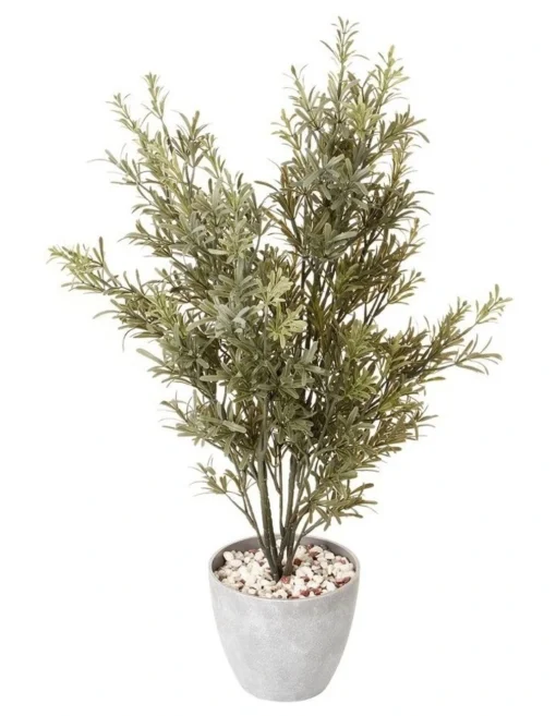 Rosemary Tree 79cm In Green -Home Décor Sales