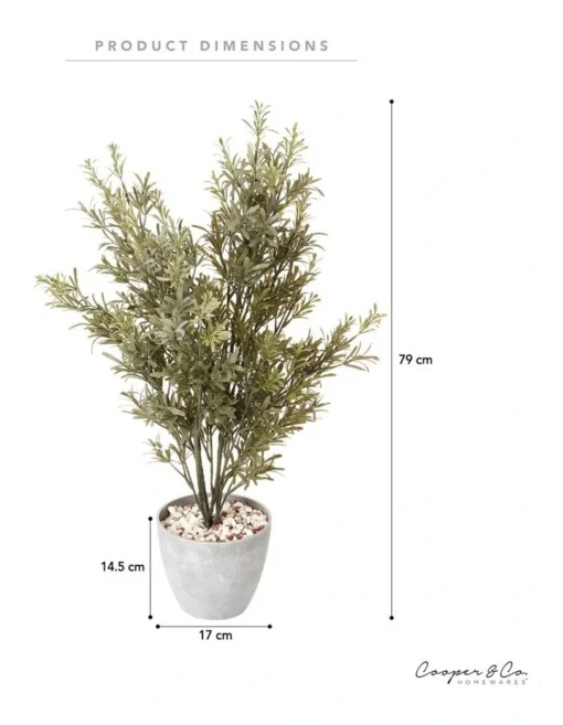Rosemary Tree 79cm In Green -Home Décor Sales
