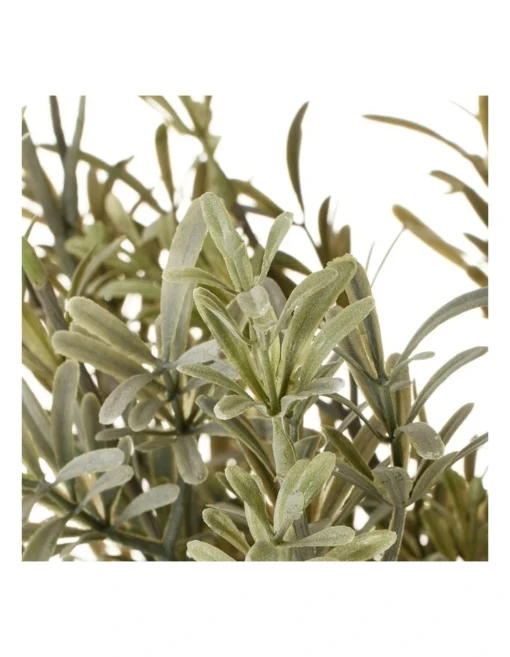 Rosemary Tree 79cm In Green -Home Décor Sales