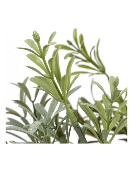 Rosemary Tree 79cm In Green -Home Décor Sales