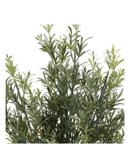 Rosemary Tree 79cm In Green -Home Décor Sales