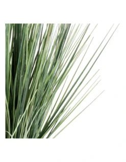 Artificial Spring Pond Grass Plant 56cm In Green -Home Décor Sales 955013050 4 720x928