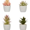Succulents Artificial Plant 16cm Set Of 4 In Multi -Home Décor Sales 955014850 1 720x928