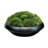 Artificial Moss Bowl Bonsai Arrangement -Home Décor Sales 955203130 1 720x928