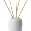 Life On Earth Puk Diffuser With White Tea Scented Sticks In Light Grey -Home Décor Sales 957985300 1 720x928
