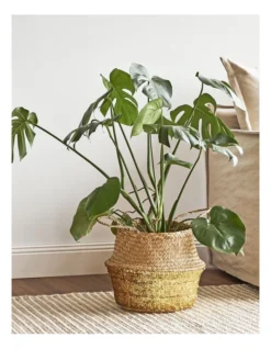 Carrie Sequin Seagrass Baskets Set Of 2 In Natural -Home Décor Sales 978398830 6 720x928