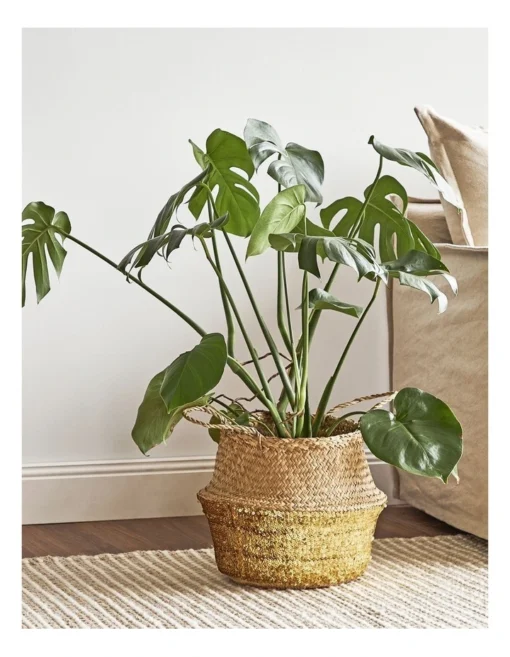 Carrie Sequin Seagrass Baskets Set Of 2 In Natural -Home Décor Sales