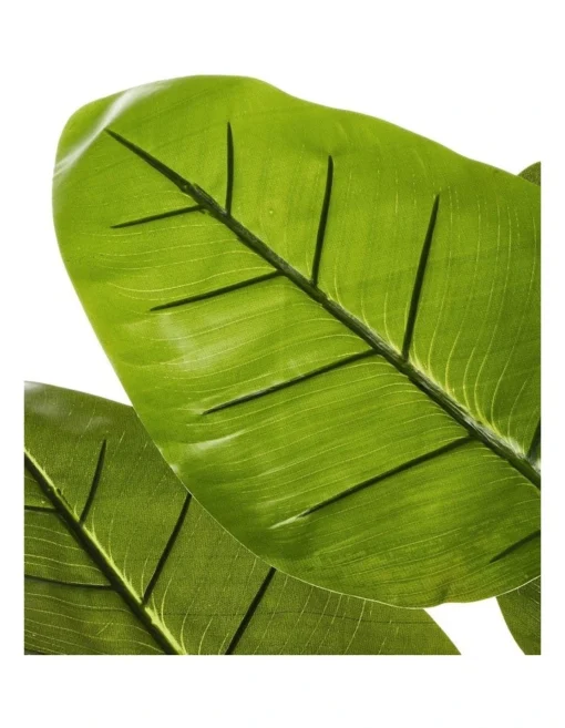 Tall Potted Artificial Bird Of Paradise 85cm In Green -Home Décor Sales