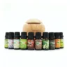 Ultrasonic USB Diffuser With 10 Aroma Oils Humidifier 130ml In Brown -Home Décor Sales 988485040 1 720x928