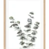Profile Eucalyptus Foliage Art Print A3 Natural Frame White Border -Home Décor Sales 995231890 1 720x928