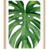 Profile Australian Made Monstera Leaf Art Print A3 Natural Frame -Home Décor Sales 995231980 1 720x928