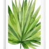 Profile Kentia Palm Leaves Art Print A3 White Frame White Border -Home Décor Sales 995234410 1 720x928