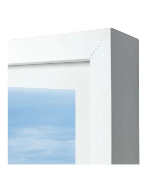 Profile Kentia Palm Leaves Art Print A3 White Frame White Border -Home Décor Sales